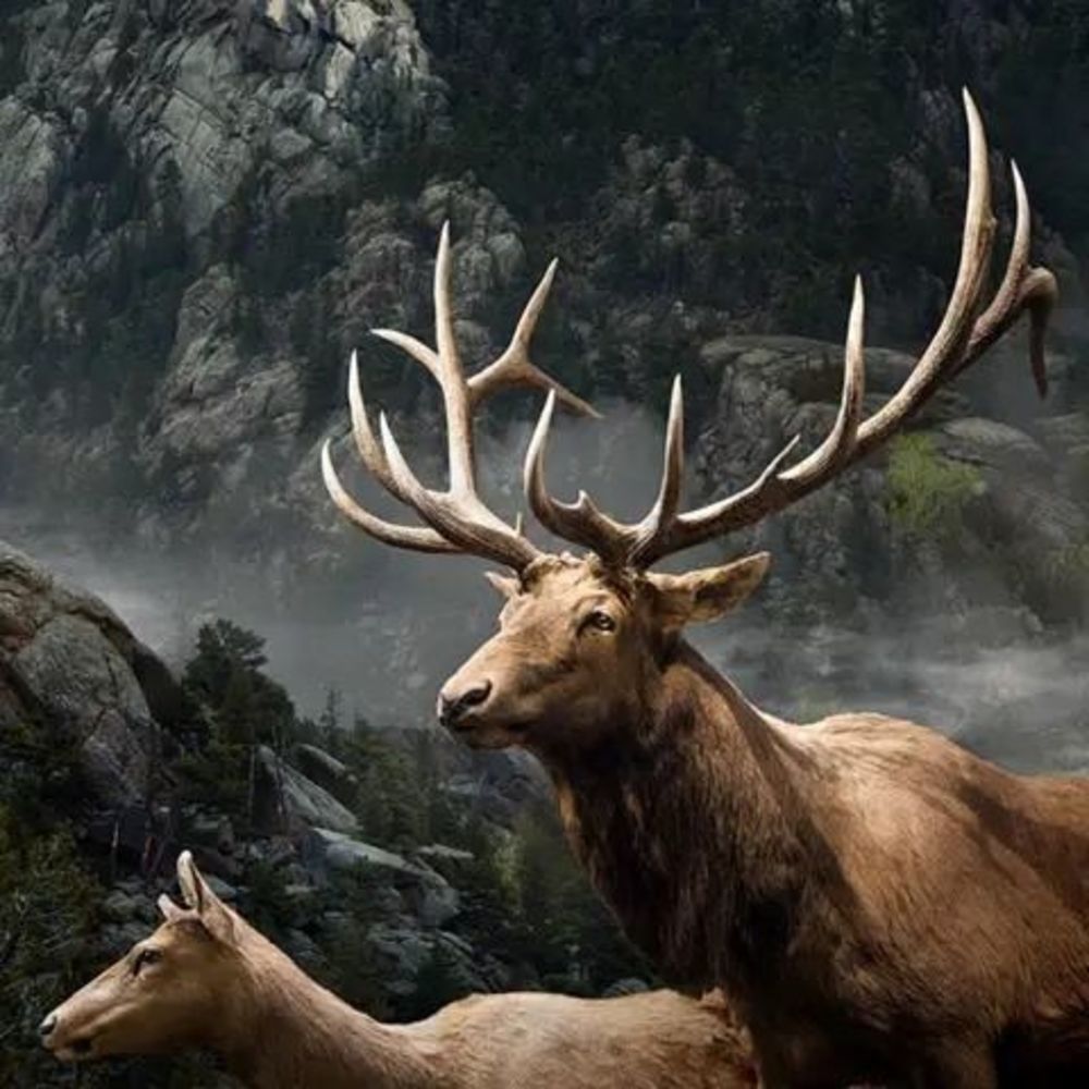 Meet your Posher, Denny